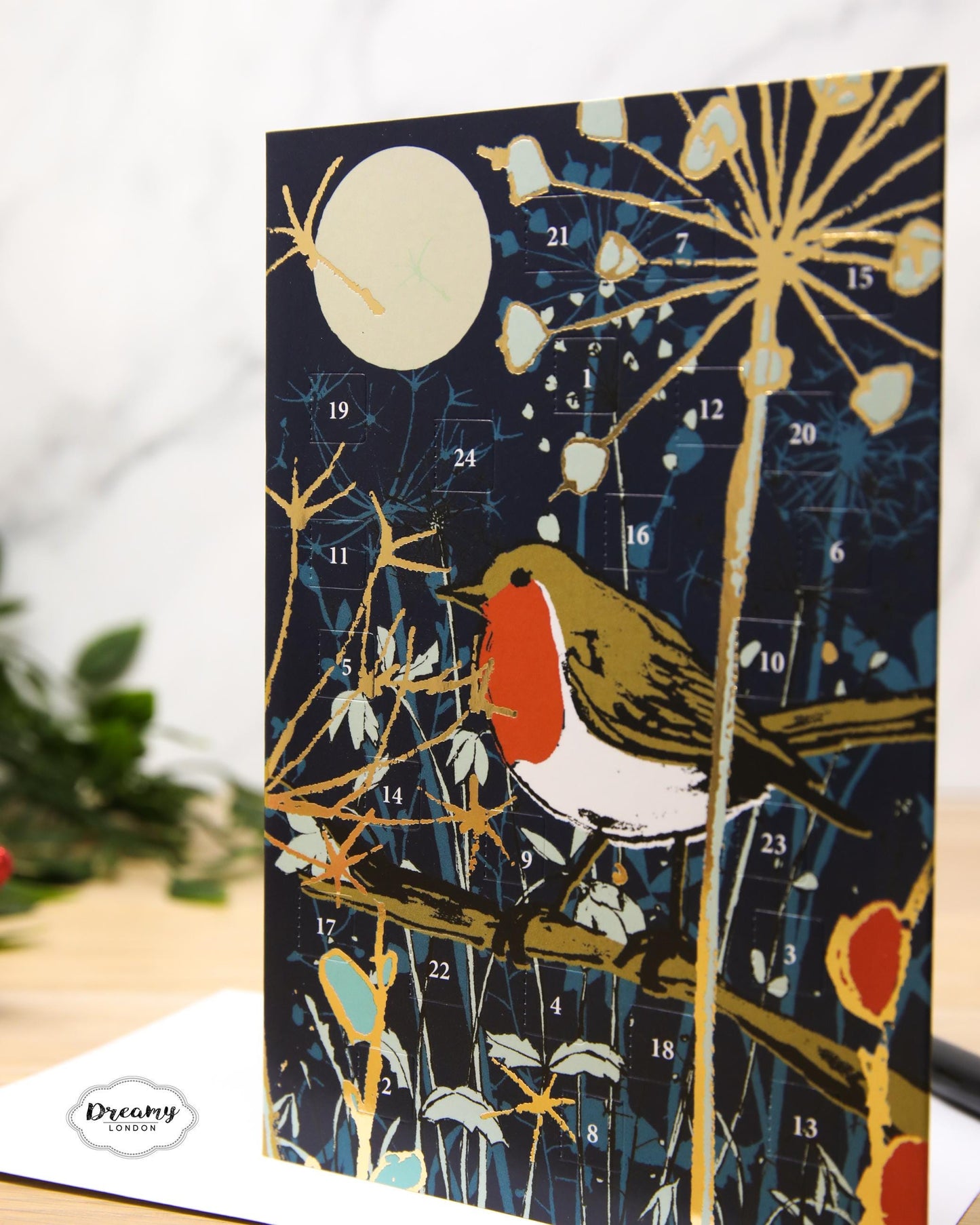 Christmas Robin Advent Calendar Card