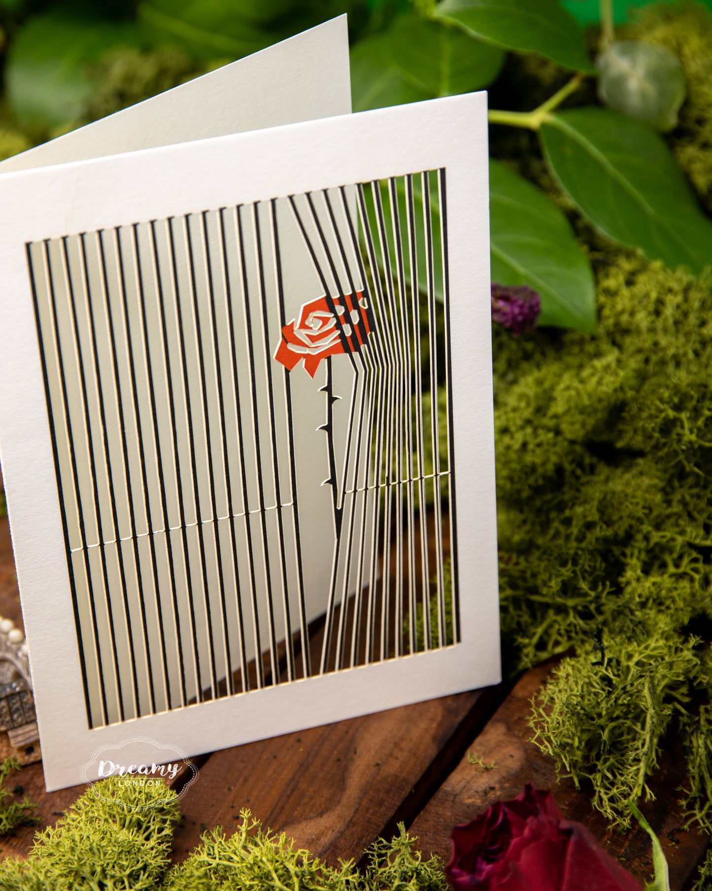 Passion of Love Rose Greeting Card, Single Rose Greeting Card Design - Dreamy London