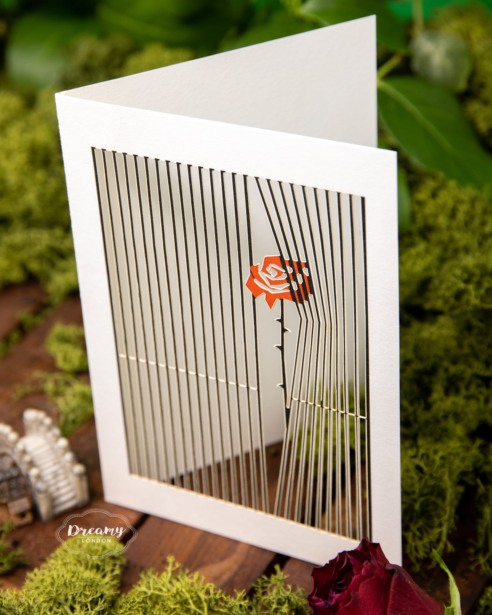 Passion of Love Rose Greeting Card, Single Rose Greeting Card Design - Dreamy London